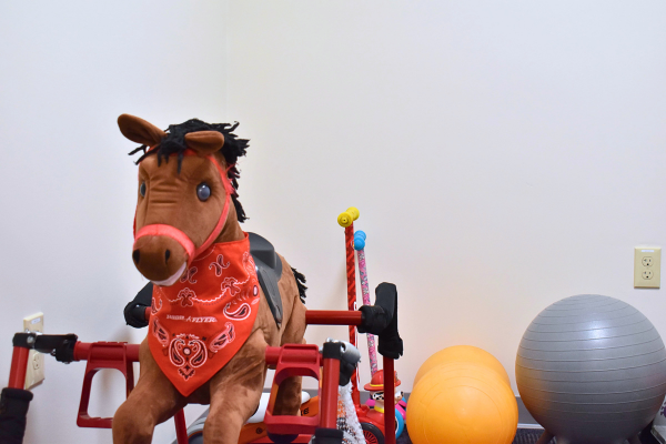 Ludlow MA Center Horse