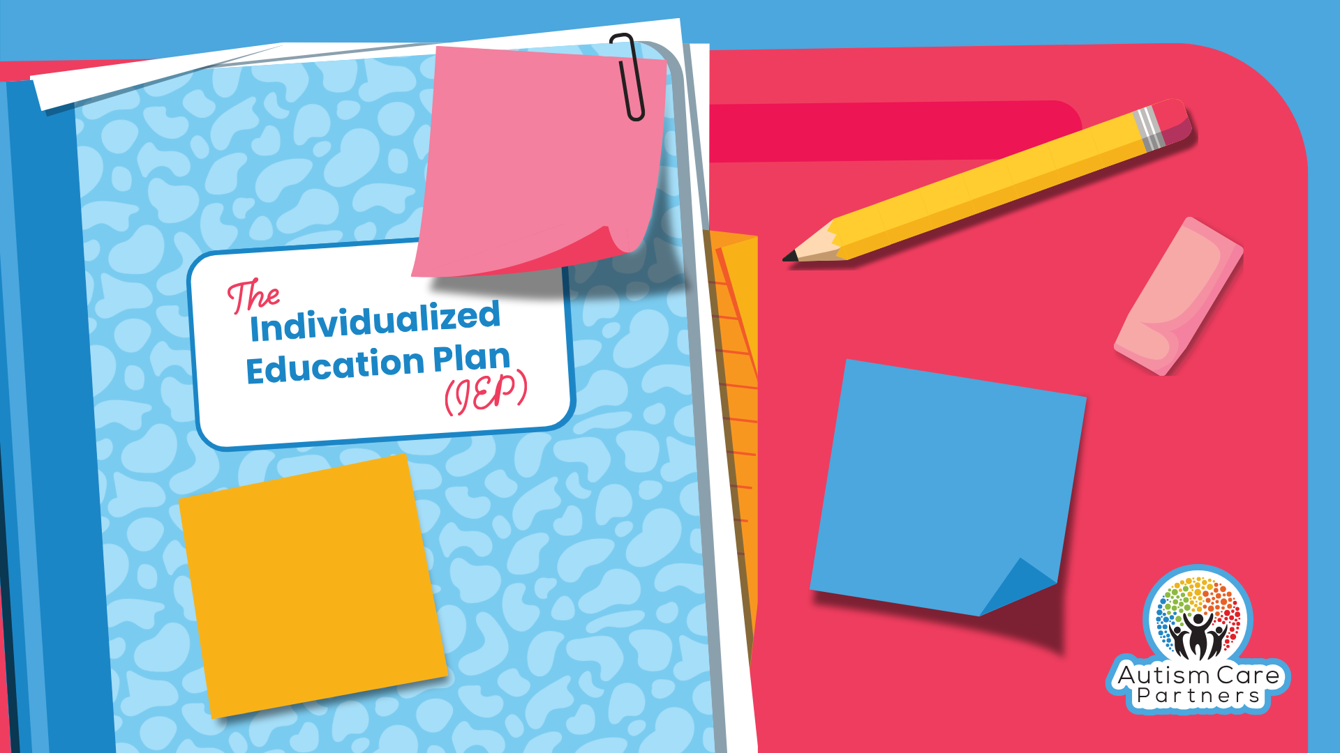 What is an IEP?
